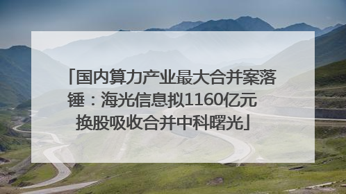 国内算力产业最大合并案落锤：海光信息拟1160亿元换股吸收合并中科曙光